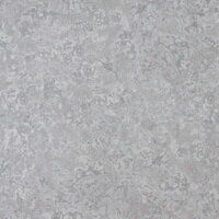 Кромка кат.1 3050*32*0.6 7061-S Fossil ЭКСКЛ