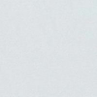 Столешница кат.1 3050*900*40 2U 1010-ТИ Белый