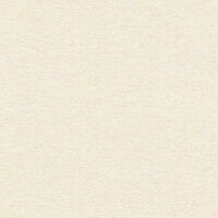 Столешница кат.4 3050*1200*40 1U 685-1 Платина