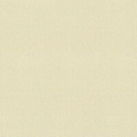 Столешница кат.4 3050*800*40 2U 1239-Br Бриллиант бежевый