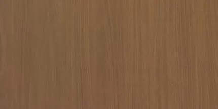 Модель 161