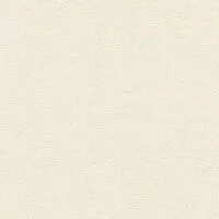 Стеновая панель кат.4 3050*600*6 685-1 Платина