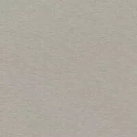 Кромка кат.2 3050*32*0.6 5013-S Платина