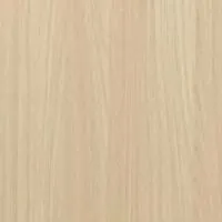 Модель 329