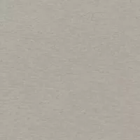 Столешница кат.2 3050*600*40 2U 5013-S Платина