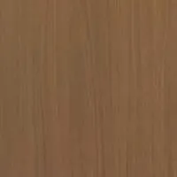 Модель 161