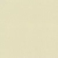 Столешница кат.4 3050*700*40 2U 1239-Br Бриллиант бежевый